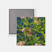 Monarch und Milkweed Magnet (Vorderseite/Rückseite)