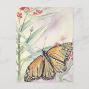 Monarch und Milkweed Postkarte