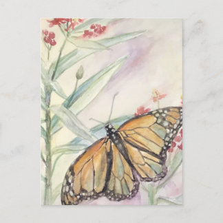 Monarch und Milkweed Postkarte