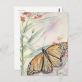 Monarch und Milkweed Postkarte (Vorne/Hinten)