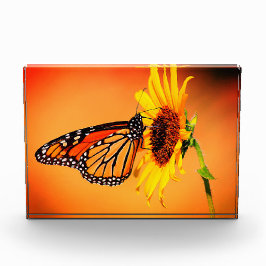 Monarch und Sonnenblume Fotoblock