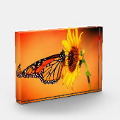 Monarch und Sonnenblume Fotoblock (Links)