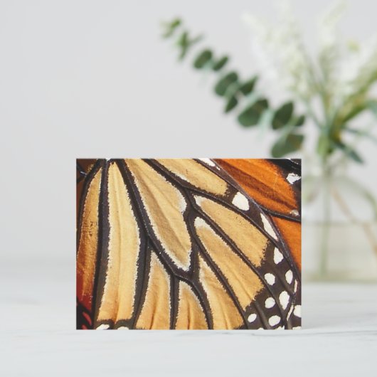 Monarch Wing ~ Postkarte (Stehend Vorderseite)