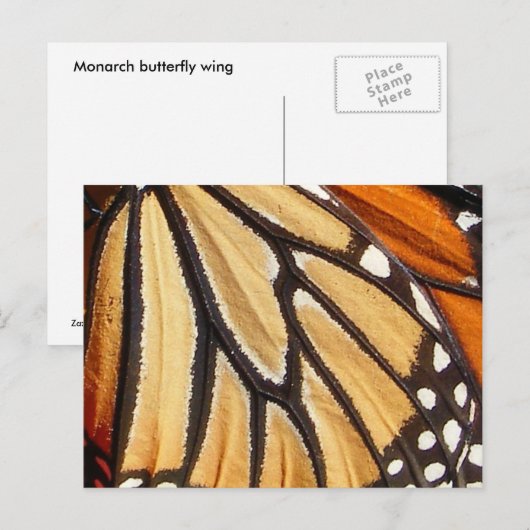 Monarch Wing ~ Postkarte (Vorne/Hinten)
