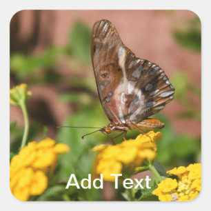 Monarch Wings - Aufkleber für Hunde und Schmetterl