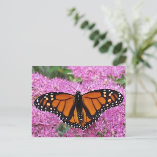 Monarch Wings on Pink - Schmetterling Postkarte (Stehend Vorderseite)