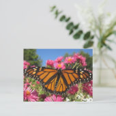 Monarch Wings - Schmetterling Postkarte (Stehend Vorderseite)