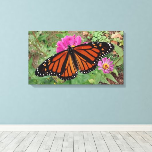 Monarch with Wings Outback on Pink Zinnia Leinwanddruck (Insitu (Holzboden))