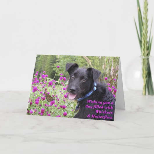 Monarch wünscht Karte (Vorderseite)