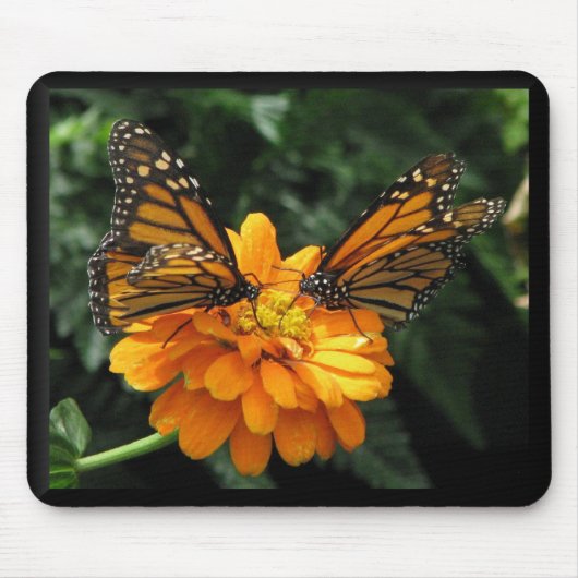 Monarchen Mousepad (Vorne)