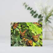 Monarchen Postkarte (Stehend Vorderseite)