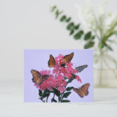 Monarchen und rosa Penta Postkarte (Stehend Vorderseite)