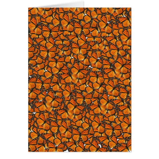 Monarchfalter (Vorne)