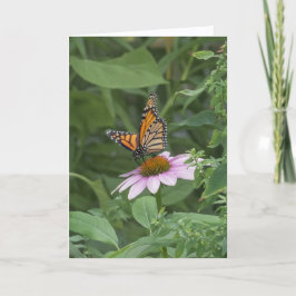 Monarchfalter auf einer violetten Kegelblume, NYC Karte