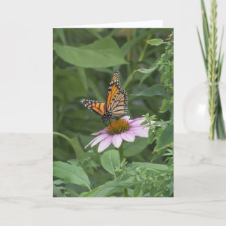 Monarchfalter auf einer violetten Kegelblume, NYC Karte
