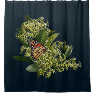 Monarchfalter auf Euonymus Duschvorhang
