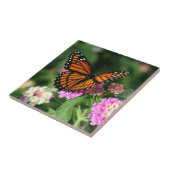 Monarchfalter auf Fliese des (Seite)