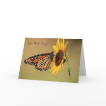 Monarchfalter auf gelber Sonnenblume