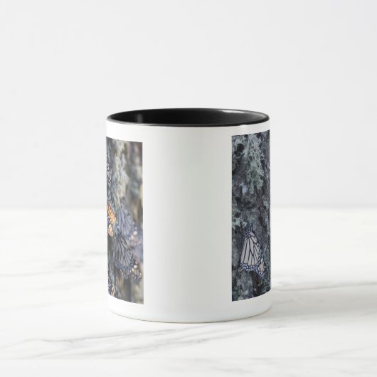 Monarchfalter auf Kiefer, Sierra Chincua 2 Tasse (Zentrum)