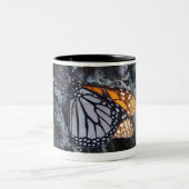 Monarchfalter auf Kiefer, Sierra Chincua 2 Zweifarbige Tasse (Mittel)