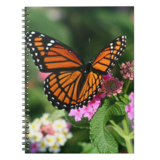 Monarchfalter auf Lantana Flowers.Notebook Notizblock
