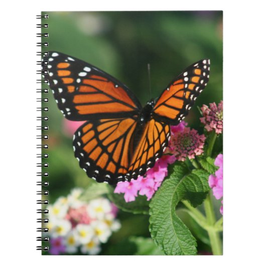 Monarchfalter auf Lantana Flowers.Notebook Notizblock (Vorderseite)