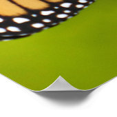 Monarchfalter auf Liatris Poster (Ecke)