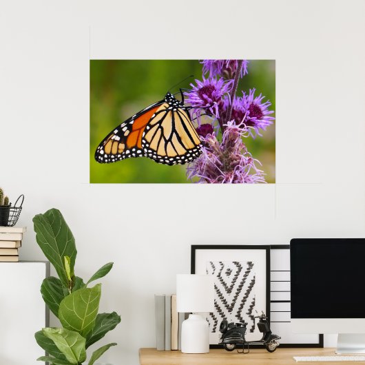 Monarchfalter auf Liatris Poster (Heimbüro)