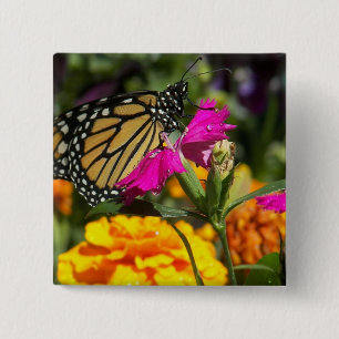 Monarchfalter auf rosa Ringelblumeknopf Button