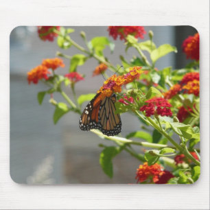 Monarchfalter auf rotem Schmetterlingsflieder Mousepad