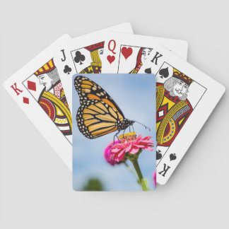 Monarchfalter auf Spielkarten