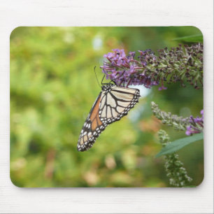 Monarchfalter auf violettem Schmetterlingsflieder Mousepad