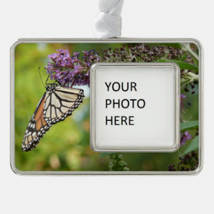Monarchfalter auf violettem Schmetterlingsflieder Rahmen-Ornament Silber