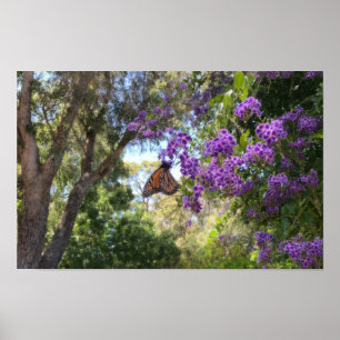 Monarchfalter auf violetten Blumen Poster