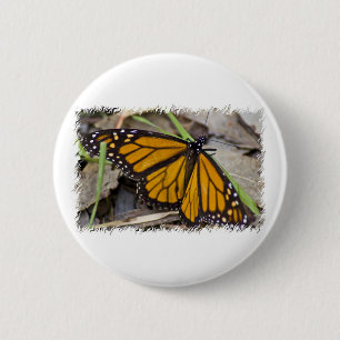 Monarchfalter Button