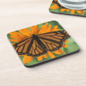 Monarchfalter (Danaus plexippus) auf Topf Untersetzer (Linke Seite)