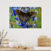 Monarchfalter | Danaus Plexippus Poster (Küche)