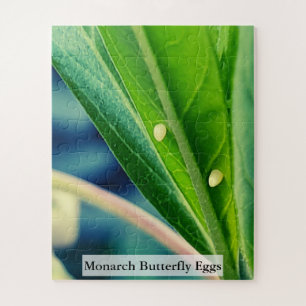 Monarchfalter-Eier 56 Teile Puzzle