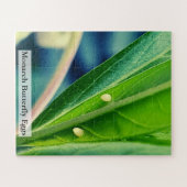 Monarchfalter-Eier 56 Teile Puzzle (Horizontal)