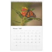 Monarchfalter Ein-Seiten-Kalender Kalender (Feb 2027)