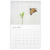 Monarchfalter Ein-Seiten-Kalender Kalender (Jan 2027)