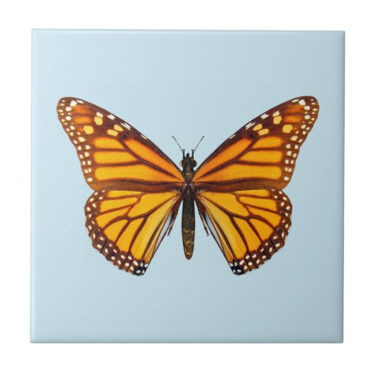 Monarchfalter Fliese (Vorderseite)