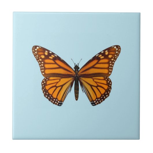 Monarchfalter Fliese (Vorderseite)