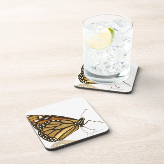 Monarchfalter Getränkeuntersetzer (Rechte Seite)