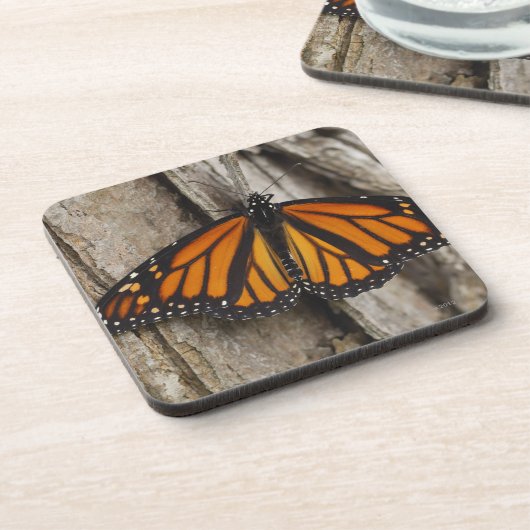 Monarchfalter Getränkeuntersetzer (Linke Seite)