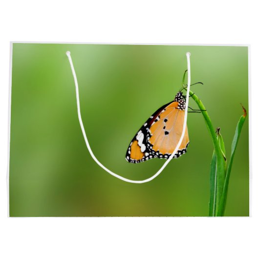 Monarchfalter Große Geschenktüte (Rückseite)