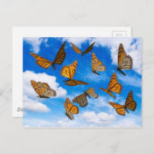 Monarchfalter im Himmel Postkarte (Vorne/Hinten)