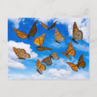 Monarchfalter im Himmel