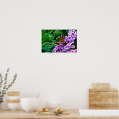 Monarchfalter in Blumen Poster (Küche)