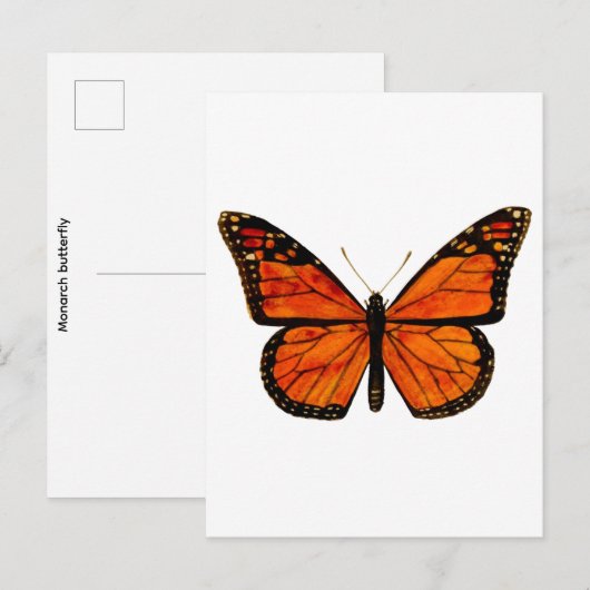 Monarchfalter Klein Postkarte (Vorne/Hinten)